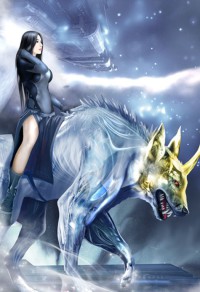 夜王纪